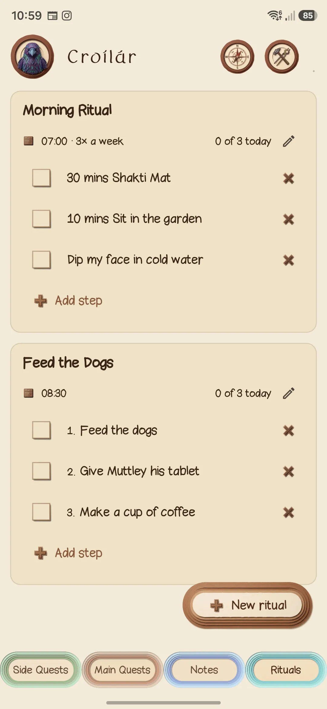 The Rituals screen: two routine cards, each with a scheduled time, a progress count for today, and three steps.